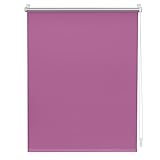 Lichtblick, 90 cm x 150 cm (B x L) in Fuchsia, Verdunklungsrollo Klemmfix, Bohren, Sonnen, Sicht, Hitze-& Kälte-Schutz, reflektierende Thermo-Rollo Funktion, Verdunkelung für Fenster & Türen, Stoff