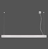 Paul Neuhaus 8230-95 Snake