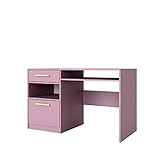 3E 3xE living.com Schreibtisch mit 1 Tür und 1 Schublade in Rosa (B:125cm x H: 82cm x T:58cm)