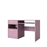 3E 3xE living.com Schreibtisch mit 1 Tür und 1 Schublade in Rosa (B:125cm x H: 82cm x T:58cm)