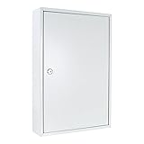 Rottner Schlüsselschrank Eintürig S 64 mit Zylinderschloss, Lichtgrau, 64 Schlüsselanhänger gratis, Befestigungsmaterial inklusive, 450 x 300 x 80 mm