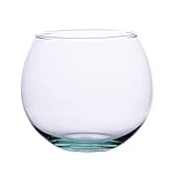 Ökosystem im Glas - Flaschengarten - Flaschengarten Glas - Pflanzen im Glas - Kugelvase Glas - Kugelvase Groß - Tiny Terrarium - Pflanzen Terrarium Glas (12,5 x 12,5 cm)