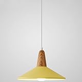 NAKEAH Vintage-Aluminium-Hängeleuchte, farbige Metall-Pendelleuchte mit Holz-Finish, höhenverstellbarer Macaron-Kronleuchter für Esszimmer, Flur, Waschbecken, Restaurant Yearn for