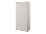 Mirjan24 Kleiderschrank Teen Flex 2D TF01, Schrank mit 3 Einlegeplatten und Kleiderstange, Drehtürenschrank, Garderobenschrank, Dielenschrank (Silk Flou)