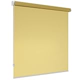 schattenfreu.de Rollo XL nach Maß | Zum Anschrauben an der Wand oder Decke | Lichtdurchlässig | Für Fenster und Türen