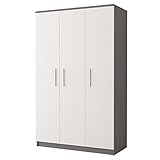 Polini Home Dreitüriger Kleiderschrank Colour 120 x 193 x 50 cm in Weiß-Grau mit silbernen Griffen