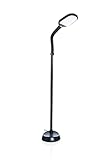 Impulse Natural Daylight LED Floor Lamp Leselampe Stehlampe – Arbeitslampe - 27 Watt – Tageslicht ähnlich helles Sonnenlicht Stehleuchte Wohnzimmer,Schlafzimmer,Büro - Flexibler Schwanenhals