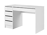Furniture24 Schreibtisch Ada mit 5 Schubladen Weiß matt/Weiß Glanz fronten