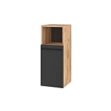 Planetmöbel Badmöbel Midischrank Badezimmer Schrank schmal, Midischrank LUX 30 cm, in den Farben Gold Eiche/Anthrazit