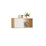 ENtele Bücherschrank Bücherregal mit Tür Wandregal Wandschrank Wandmontierte Wandlagerendekoration Wohnzimmer Schlafzimmer Trennbuchhandelbuch Büroregal (Color : B, Size : S)