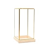 Glasvitrine Dekorative Quader Antik Kunstwerk Vitrine Terrarium S gold klar