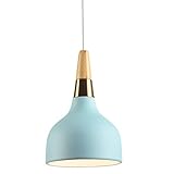PERTID LED-Deckenpendelleuchte, Macaron-Metallschirm, nordisch, 15,2 cm breit, Restaurant-Topfdeckelform, 1-flammige Hängelampe, Wohnzimmer, Schlafzimmer, dekorativ, exquisite Heimdekorat