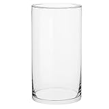 TREND FOR HOME Bodenvase Groß 29 cm Glasvase Zylinder Glasvase Groß Vase für Osterstrauch Klarglas Bodenvase für Pampasgras Transparent Rund Modern Glaszylinder | 4900 ml | Ø 15.8 cm | Magnolia