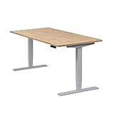 boho office® Homedesk - 160 x 80 cm - elektrisch stufenlos höhenverstellbarer Schreibtisch in Silber (RAL9006) mit Memoryfunktion, inkl. Tischplatte in Wildeiche