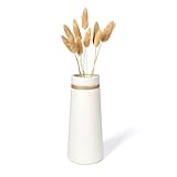flature Keramik Vase für Pampasgras Weiße Blumenvase als Moderne Wohnzimmer Boho Deko, Große Vase 25 cm Hoch, Wohnungsdeko Matt auch für Trockenblumen, Büro und Esstisch (Gr. L)