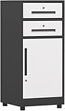 JECT Aktenschrank Aktenschrank mit 2 Schubladen, vertikaler Aktenschrank aus Metall und Stahl mit Schloss, komplett montiert, geeignet for den vertikalen Aktenschrank im Home Office (Color : Noir)