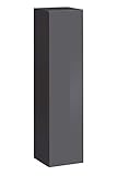 ADGO Switch SW 2 Vertikales Display Türöffner 2 Etagen Modernes und einfaches Design 30x180x30 cm Push-Click System Universal Türmontage Hängendes Display Laminierte Platte (Graphit/glänzend Graphit)