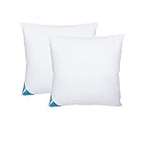 Sandaro Home kopfkissen 80x80 2er Set | federkissen 80 x 80 cm mit 100% natürlichen Federfüllungen nur, federkopfkissen 80x80 Set mit Gänsefedernfüllung im Baumwollbezug Für erholsamen Schlaf (1500)