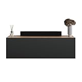 Planetmöbel TV Board 100 cm Gold Eiche/Anthrazit, TV Schrank mit 1 Klappe als Stauraum, Lowboard hängend oder stehend, Sideboard Wohnzimmer