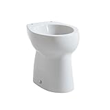 Laufen Florakids Stand-WC, Flachspüler, Abgang senkrecht, mit Spülrand, 385x295x350mm, H8220370000271
