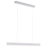 LED Pendelleuchte Paul Neuhaus Arina 8363-55 Hängelampe Dimmbar