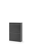 Alveon Schuhschrank Schmal Schuhregal Metall Schuhkipper mit Magnet Klappen Schuhablage Montiert und Wandmontage (Schwarz, 2 Klappen)