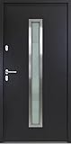 Scheurich TorOne Stahl-Aluminium Haustür - 900 x 2000 mm - NTS70 mit Glaseinsatz - Anthrazit, Motiv 600