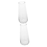 Yardwe 2 Stück Symphonie-Glasvase Pflanzendekoration Hochzeit Blumendekoration Farbiger Glas-Blumentopf Hohe Wohndekoration Zylindervase Desktop-Glas-Hydrokultur-Vase Einfacher