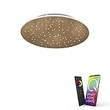 Paul Neuhaus Q-NIGHTSKY 8037-79 LED Deckenleuchte, Alexa kompatibel Smart Home, dimmbar per Fernbedienung, warmweiß – kaltweiß, Sternenhimmel Panel…