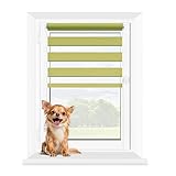 MARDOM Doppelrollo - Rollos für Fenster Ohne Bohren - Duo Rollo Tag und Nacht - Rollo Ohne Bohren - Doppelrollo Klemmfix, Fensterrollo Innen (Grün, 57.5x140 cm (Stoffbreite: 53.5))