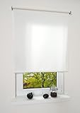 HOMELIA Spring,-Schnapprollo Made in Germany/ Lichtdurchlässig, Sichtschutz/Ohne Kettenzug/ 102 x 180 weiß / Wand-und Deckenmontage