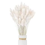 Sunshine smile 60Pcs Getrocknetes Pampasgras,Trockenblumen Bodenvase,Natürlich Pampasgras Blumenstrauß,Trockenblumen Blumenstrauß Deko, Künstlich Groß Trockenblumen,Trockenblumen Pampasgras
