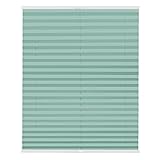 Lichtblick Plissee Klemmfix nach Maß, ohne Bohren, verspannt, lichtdurchlässig, Blickdicht, Made in Germany - Hellgrün 85 cm x 210 cm (B x L)