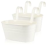 ABSDON 2pcs Hängender Blumentopf Metall mit Haken Balkon Blumentopf Hängend Für Dekotation Balkon Draussen Innenwand Garten Wand