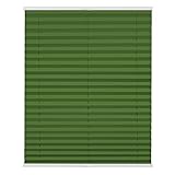 Lichtblick Plissee Klemmfix nach Maß, ohne Bohren, verspannt, Verdunkelung, Blickdicht, Made in Germany, Verdunklungsplissee - Grün 90 cm x 210 cm (B x L)