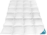 Daunendecke 135x200 Ganzjahres - Daunendecke mit 70% Daunen 30% Federn, Federbettdecke 135x200, Bezug aus natürlicher Baumwolle Daunenbettdecke 135x200, 1100g atmungsaktive Füllung (135x200, 1100)