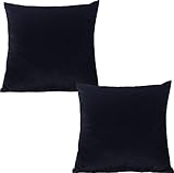 Tennove Samt Kissenbezüge 40x40cm Soft Solid Kissenbezug 2er Set dekorativen Kissenhülle Quadratische Zierkissen Bezug deko für Sofa Wohnzimmer Schlafzimmer