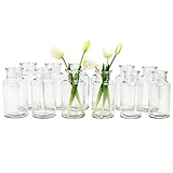 gouveo 12er Set Glasvasen Clear-Bottle 500 - Runde Blumenvasen aus Glas - Deko-Vasen für Zuhause, Hochzeiten, Geburtstage, Feste