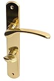 Alpertec 32740053 Amos-LS Messing poliert für Badtüren WC Drückergarnitur Türdrücker Türbeschläge Neu, Badezimmertüren