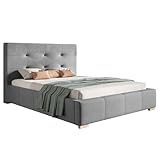 MOTIVENA Paul Polsterbett 120x200 mit Bettkasten, Bett mit Stauraum, mit Kopfteil, ohne Matratze, Bett 120x200 mit Lattenrost, Doppelbett, Ehebett, Jugendbett, Samt-Stoff, Grau