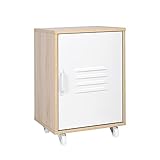 FIONEL Aktenschrank Rollcontainer Multi-Aktenschrank Funktionaler Aktenschrank auf Rädern mit Aufbewahrungstür 14,97 'x 15,18' x 22,45 'H Aufbewahrungsschrank for das Büro zu Hause Büroschrank