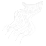 ULDIGI Schnur-Draht-Vorhang Trennvorhang Fensterbesatz Perlen-Türvorhang Goldene Vorhänge Badezimmer-Vorhang Fransen Raumteiler Türschnur Fransen Fadenvorhang Fadenvorhänge