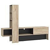 Homestyle4u 2132, Wohnwand Wohnzimmer Modern Eiche Grau Wohnzimmer Möbel Schrankwand Anbauwand Komplett-Set
