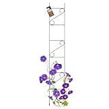 KADAX Rankgitter, Rankhilfe aus Stahl, Kletterhilfe für Garten, Pflanzen, Rosen, Kletterpflanzen, Pflanzengitter, Rankleiter, wetterfestes Spalier, Deko, freistehend, schwarz (Höhe: 180 cm)