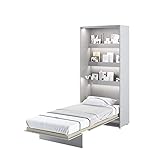 MEBLINI Schrankbett Bed Concept - Wandbett mit Lattenrost - Klappbett mit Schrank - Wandklappbett - Murphy Bed - Bettschrank - BC-03-90x200cm Vertikal - Grau Matt