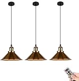 Batteriebetriebene Pendelleuchte mit Fernbedienung, schwarze Decken-Hängelampe ohne Verkabelung für den Innenbereich, Vintage-Pendelleuchte, Kronleuchter für Bauernhaus, Esszimmer, Kücheninsel ( Color