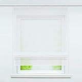 Joyswahl Voile Raffrollo mit Glanzdruck transparente Raffgardine mit Klettschiene Küchen Gardinen BxH 100x140cm Lotus 1 Stück