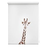 Lichtblick Klemmfix Verdunklungs-Rollo mit Motiv, ohne Bohren, Blickdicht, Seitenzugrollo, Made in Germany, Giraffe - Braun 45 x 150 cm (B x L)