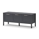 Vicco Lowboard Fernsehschrank TV-Schrank Ewan Anthrazit 120 cm Fernsehtisch Tür