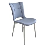 FAiruo lyf Küche PU Leder Küche Esszimmerstühle Schlafzimmer Zimmer Balkon Sofa Stuhl Kohlenstoffstahlbein Schminktisch Make-up-Stuhl (Farbe: Hellblau)